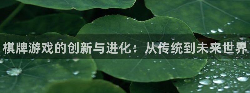 28大神app下载页面