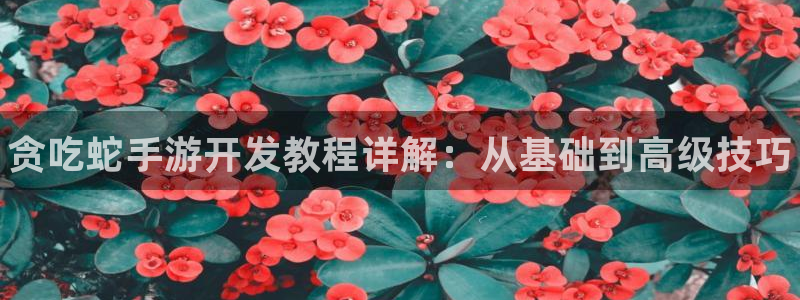 28大神开奖记录