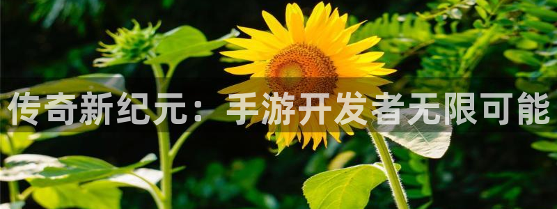 28大神怎么不能用了