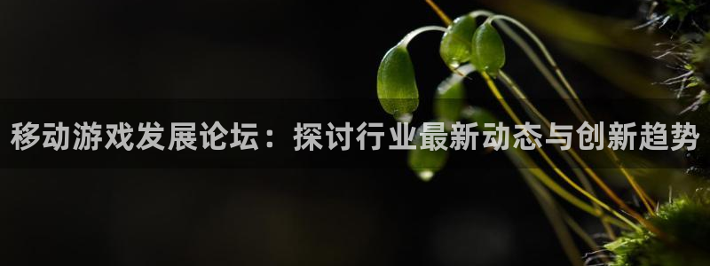 pg国际官方网站