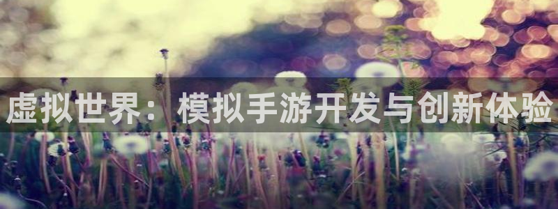 28大神官网苹果