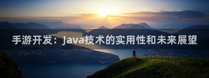 28大神下载不了：手游开发：Java技术的实用性和未来展望