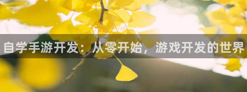 28大神怎么下载不了：自学手游开发：从零开始，游戏开发的世界