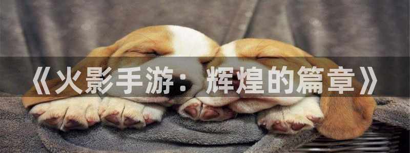 28大神2020：《火影手游：辉煌的篇章》